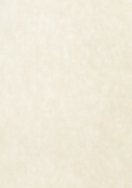 T57158.jpg