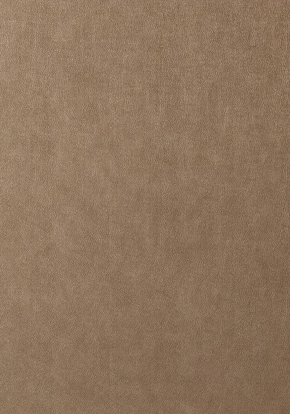 T57160.jpg