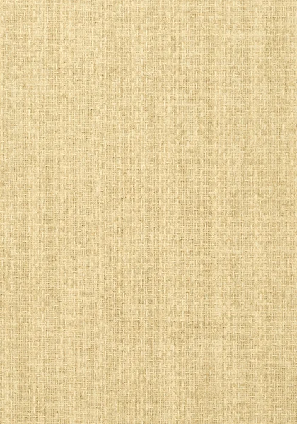 T57108.jpg