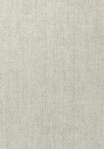 T57110.jpg