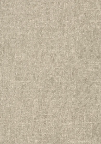 T57123.jpg