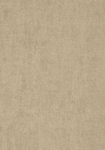 T57126.jpg