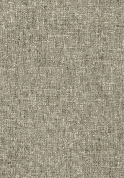 T57132.jpg