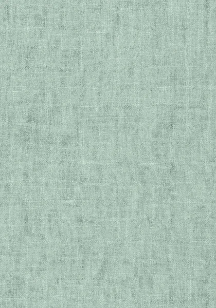 T57134.jpg
