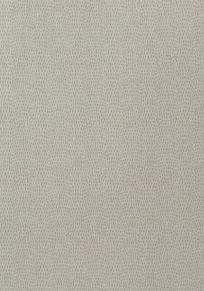 T57154.jpg