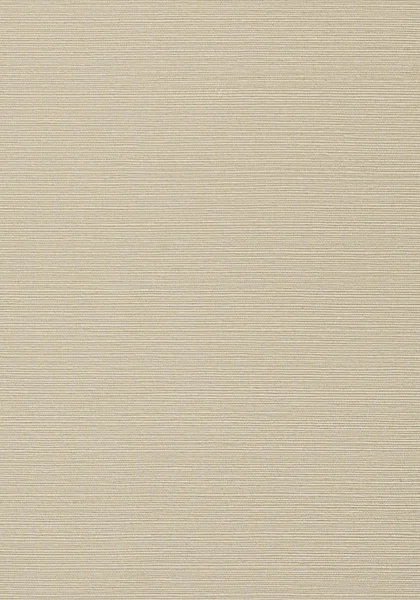 T75146.jpg