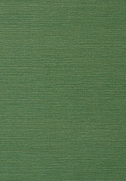 T75154.jpg
