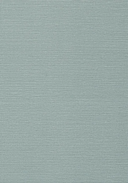 T75155.jpg