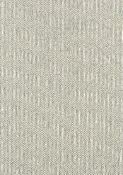 T41131.jpg