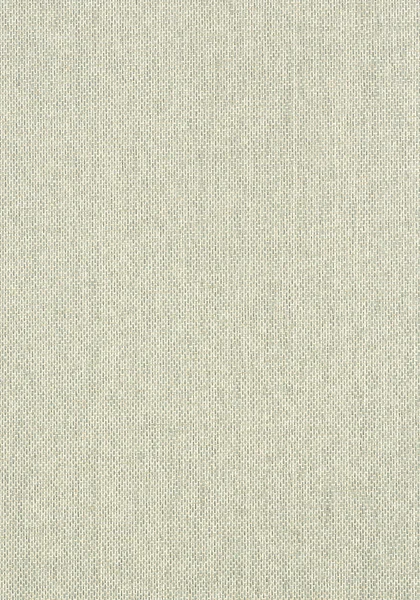 T41132.jpg