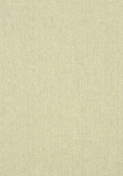 T41134.jpg