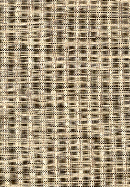 T41140.jpg
