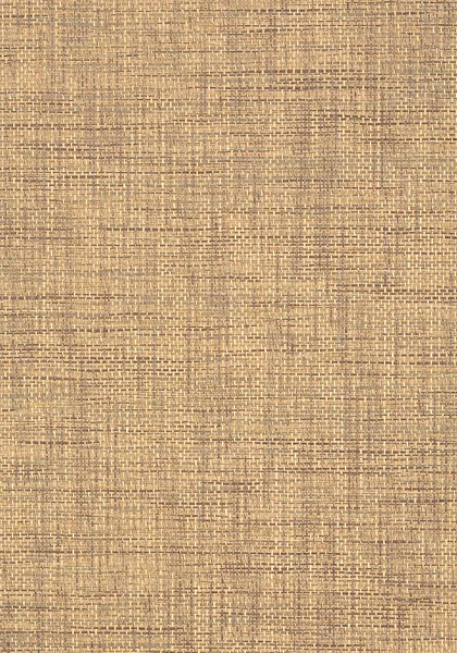 T41141.jpg