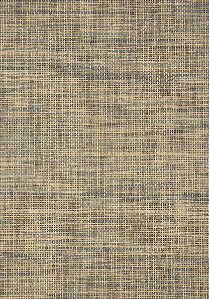 T41143.jpg
