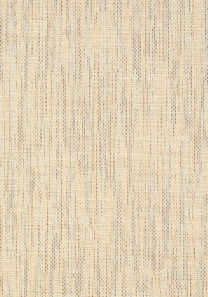 T41144.jpg