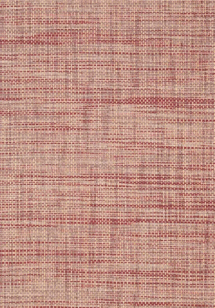 T41145.jpg
