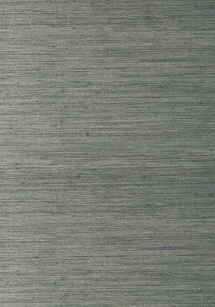 T41117.jpg