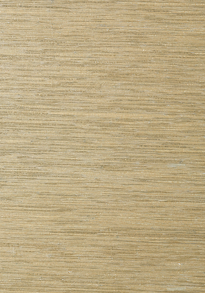 T41119.jpg