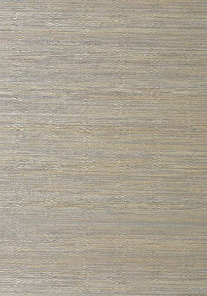 T41120.jpg