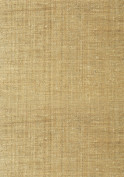 T41110.jpg