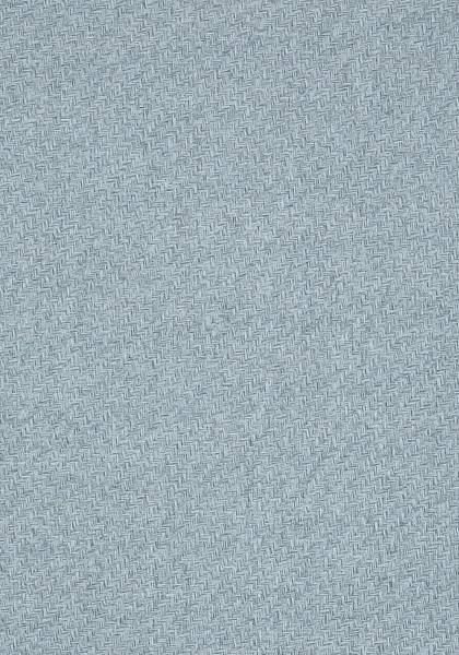 T41191.jpg
