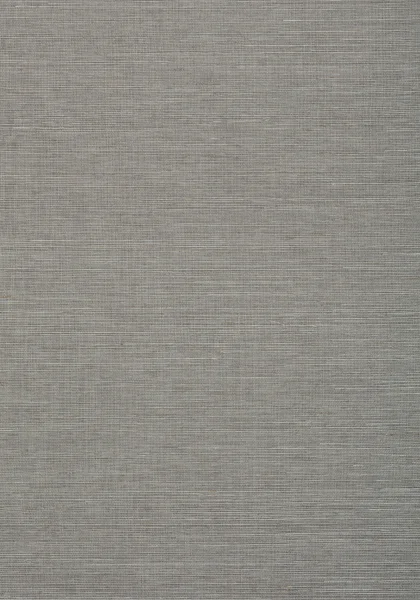 T72838.jpg