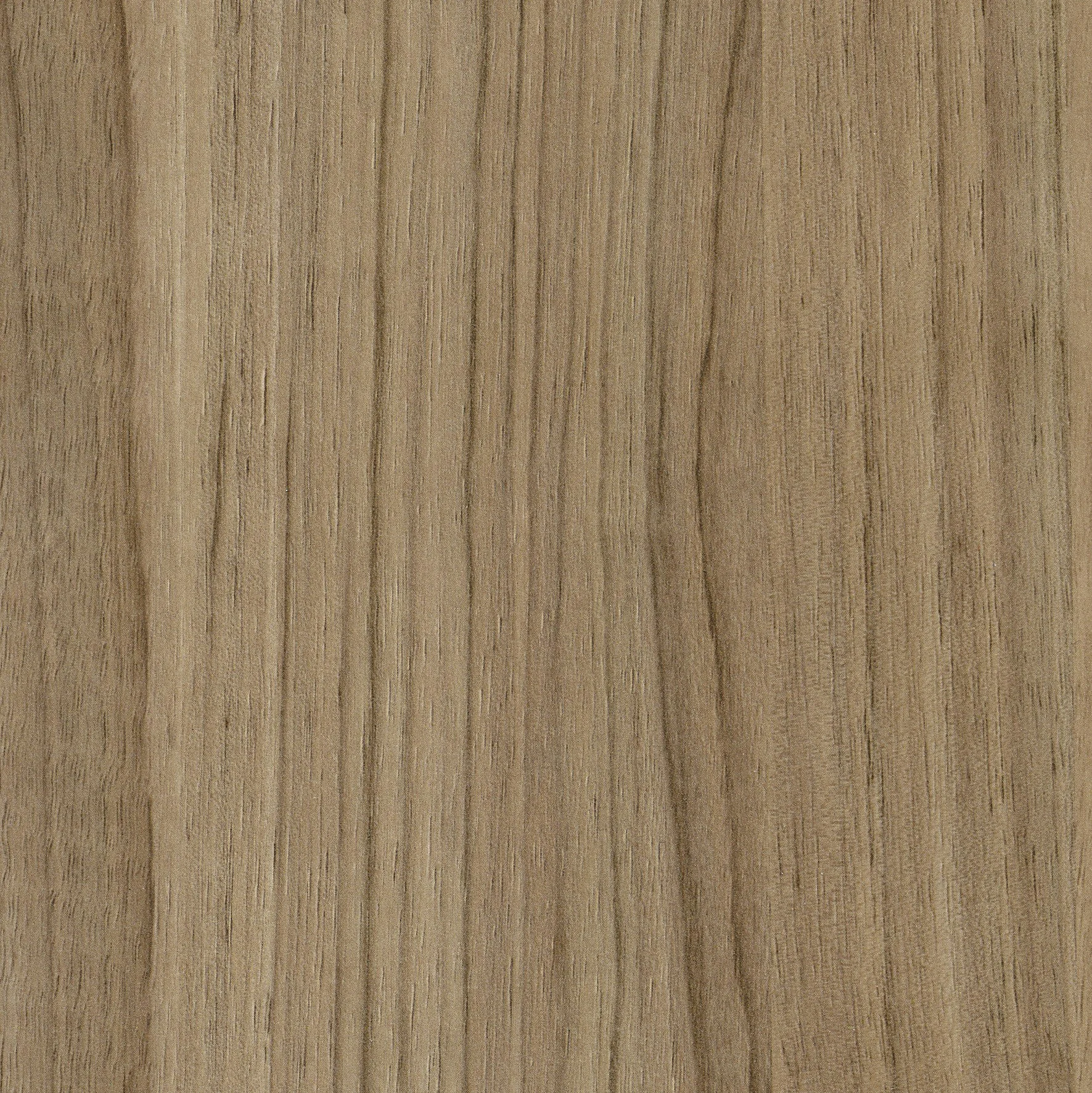 424 15.jpg