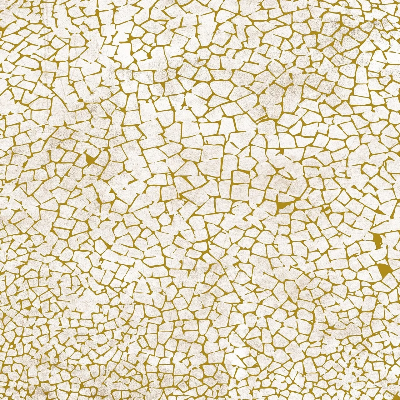 JO2706-1-GRACIA.jpg