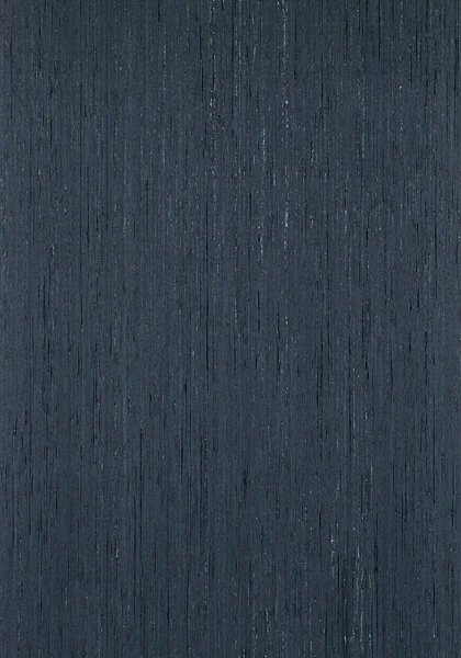 T3991.jpg