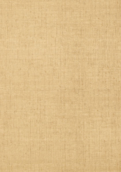 T14147.jpg