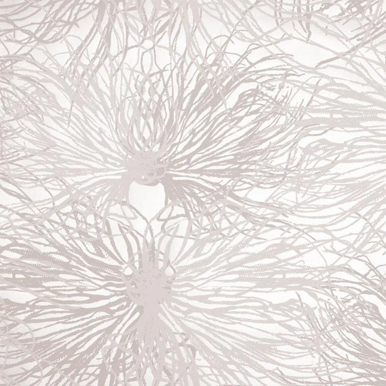 anemone_alique_900x900_crop_center.jpg