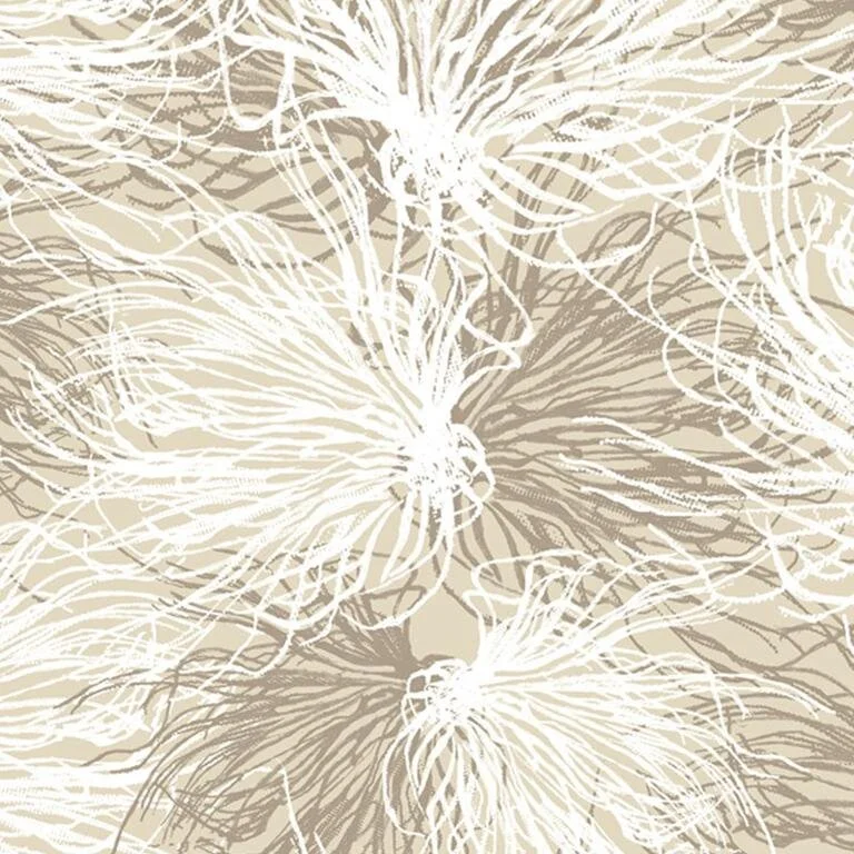 anemone_goldspun_900x900_crop_center.jpg