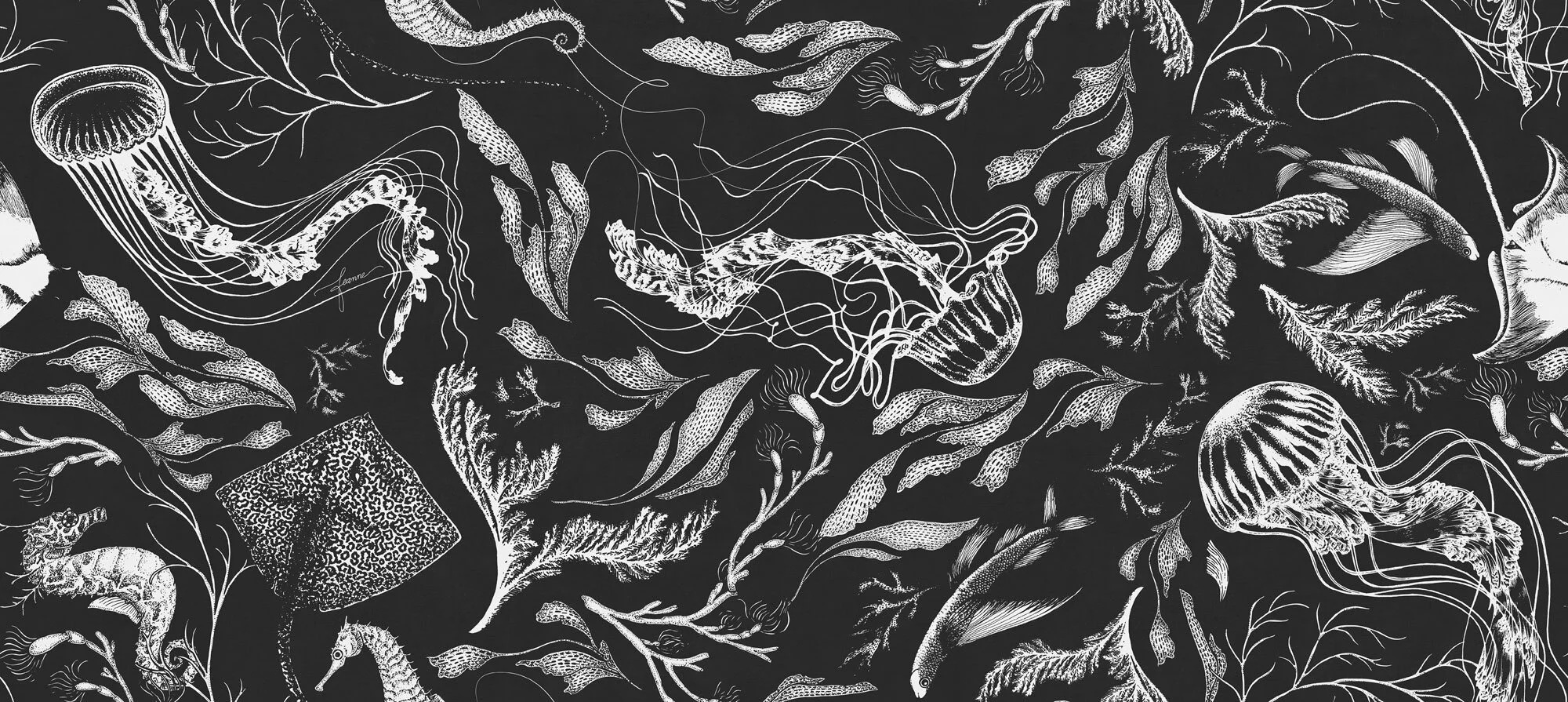 73684-1_FEANNE_SEALIFE-BLACK.jpg