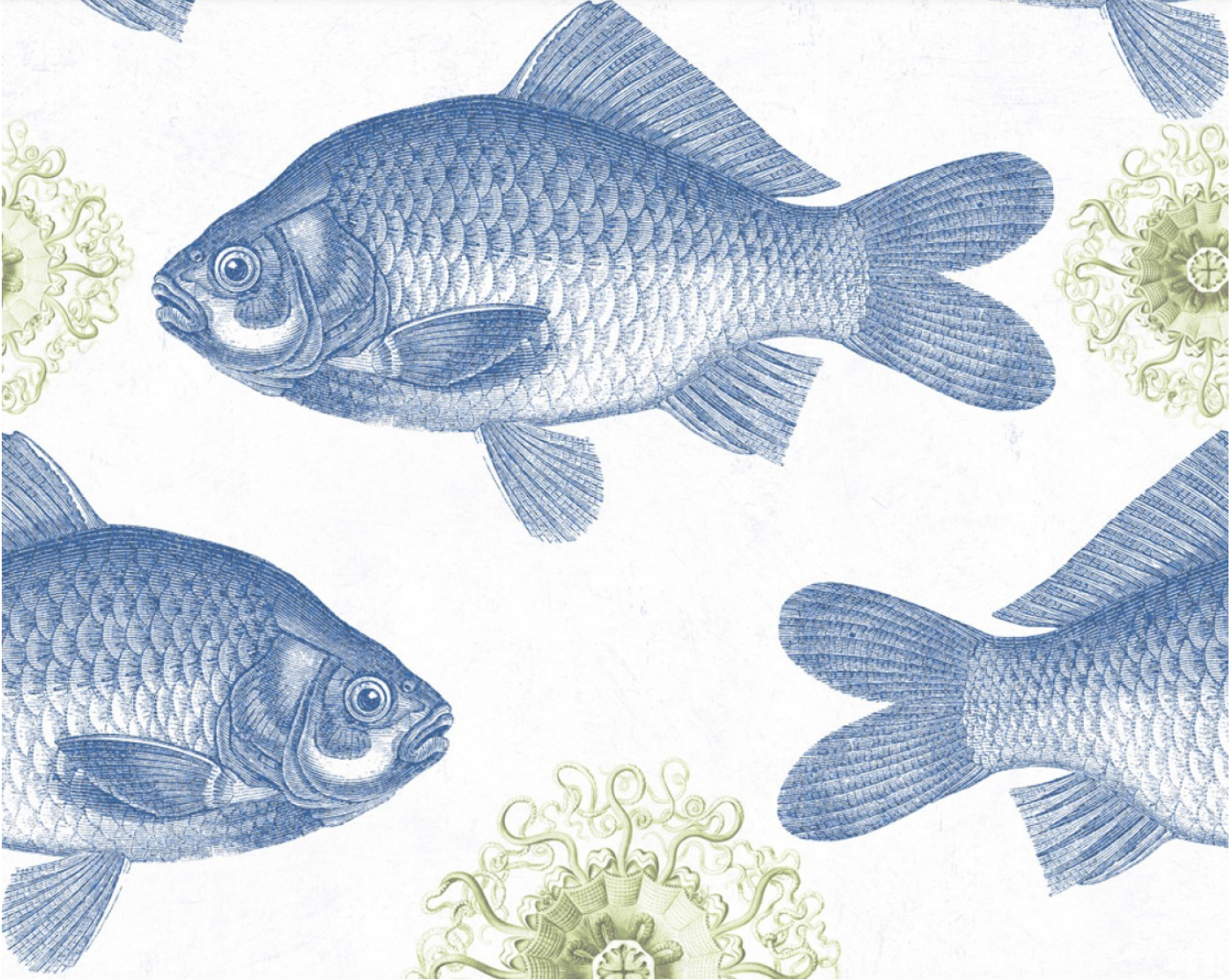 Fish Blue 