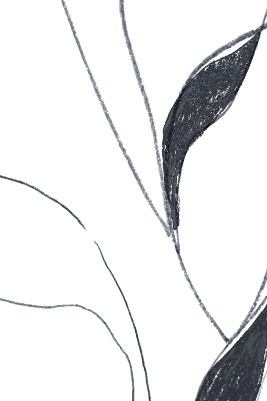 VINE CHARCOAL II.png