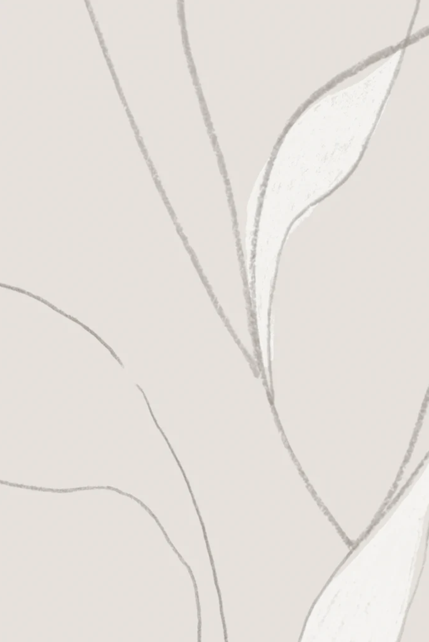 VINE OATMEAL II.png
