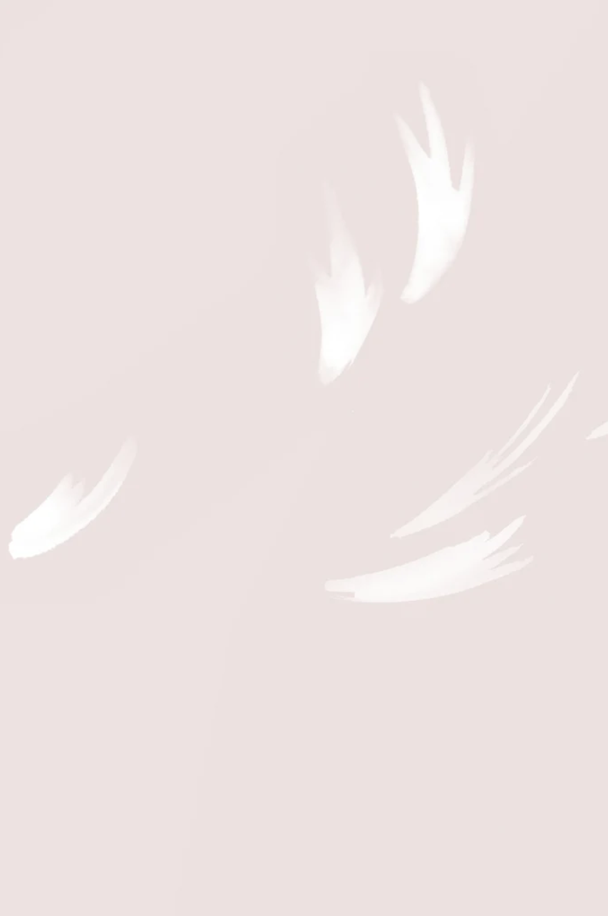 FALLING FEATHER BLUSH II.png