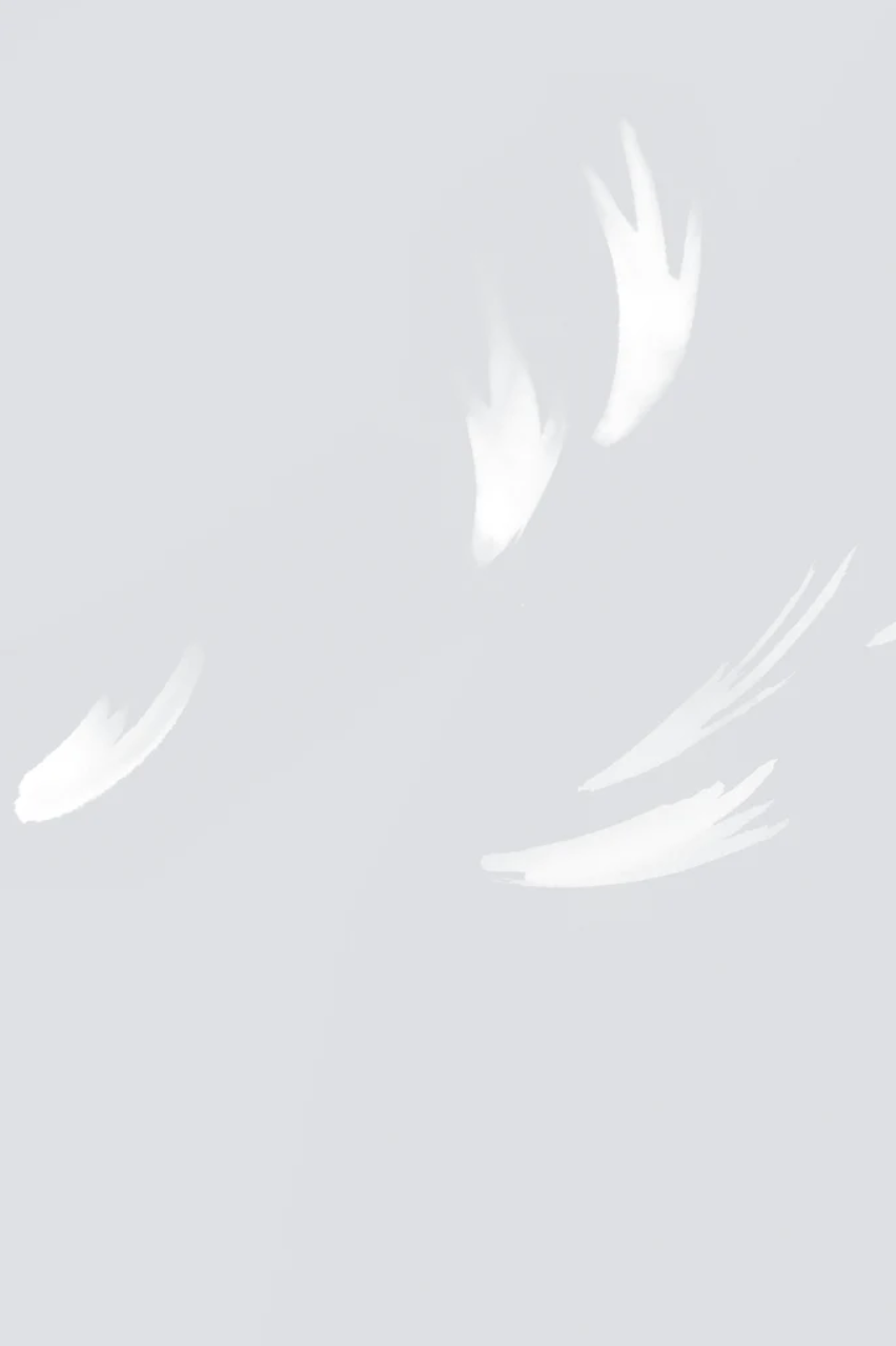 FF DOVE II.png