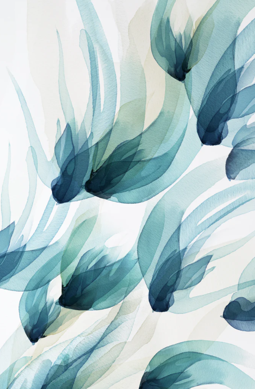 SONGBIRD TEAL II.png