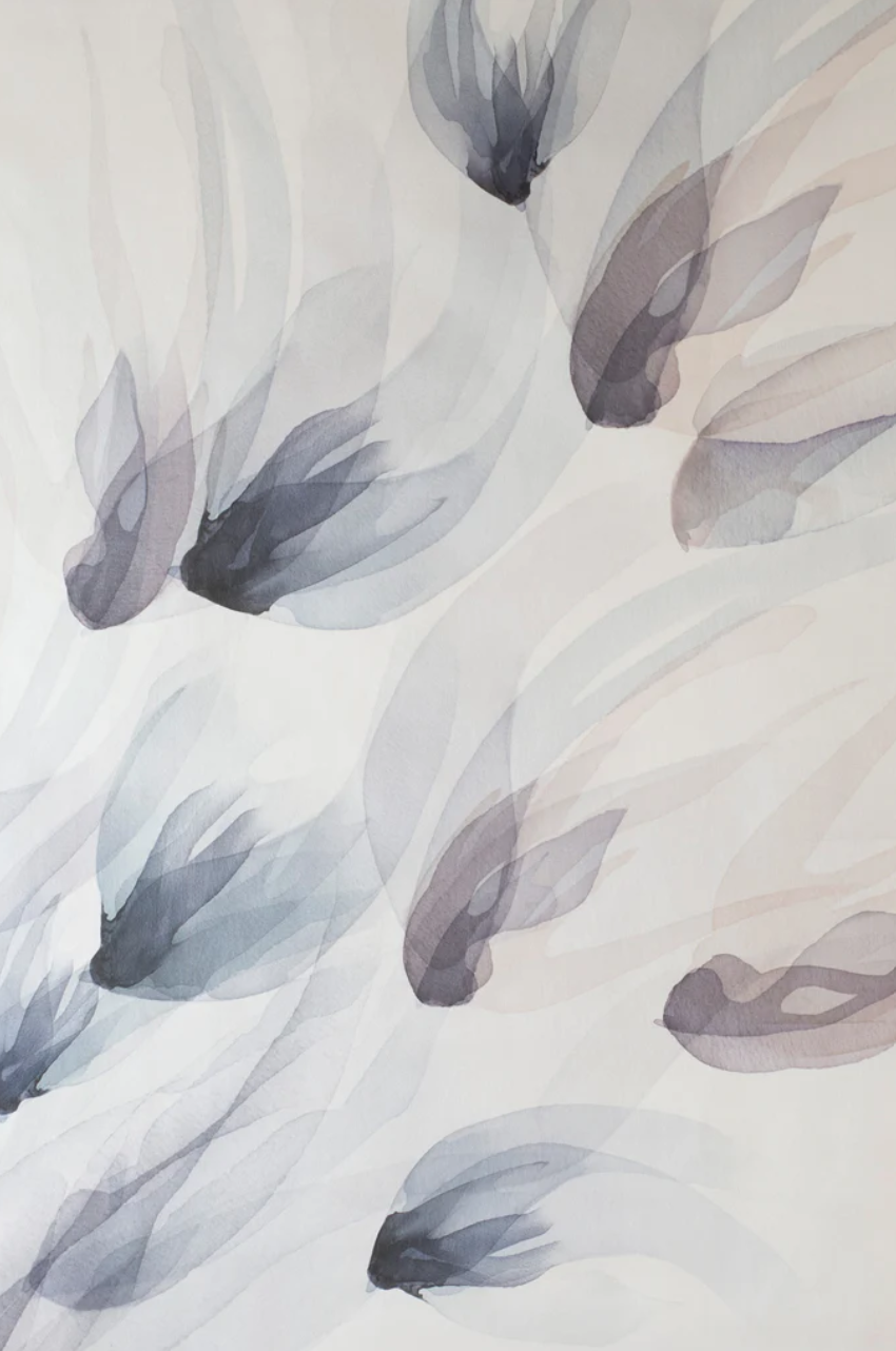SONGBIRD DUSK II.png
