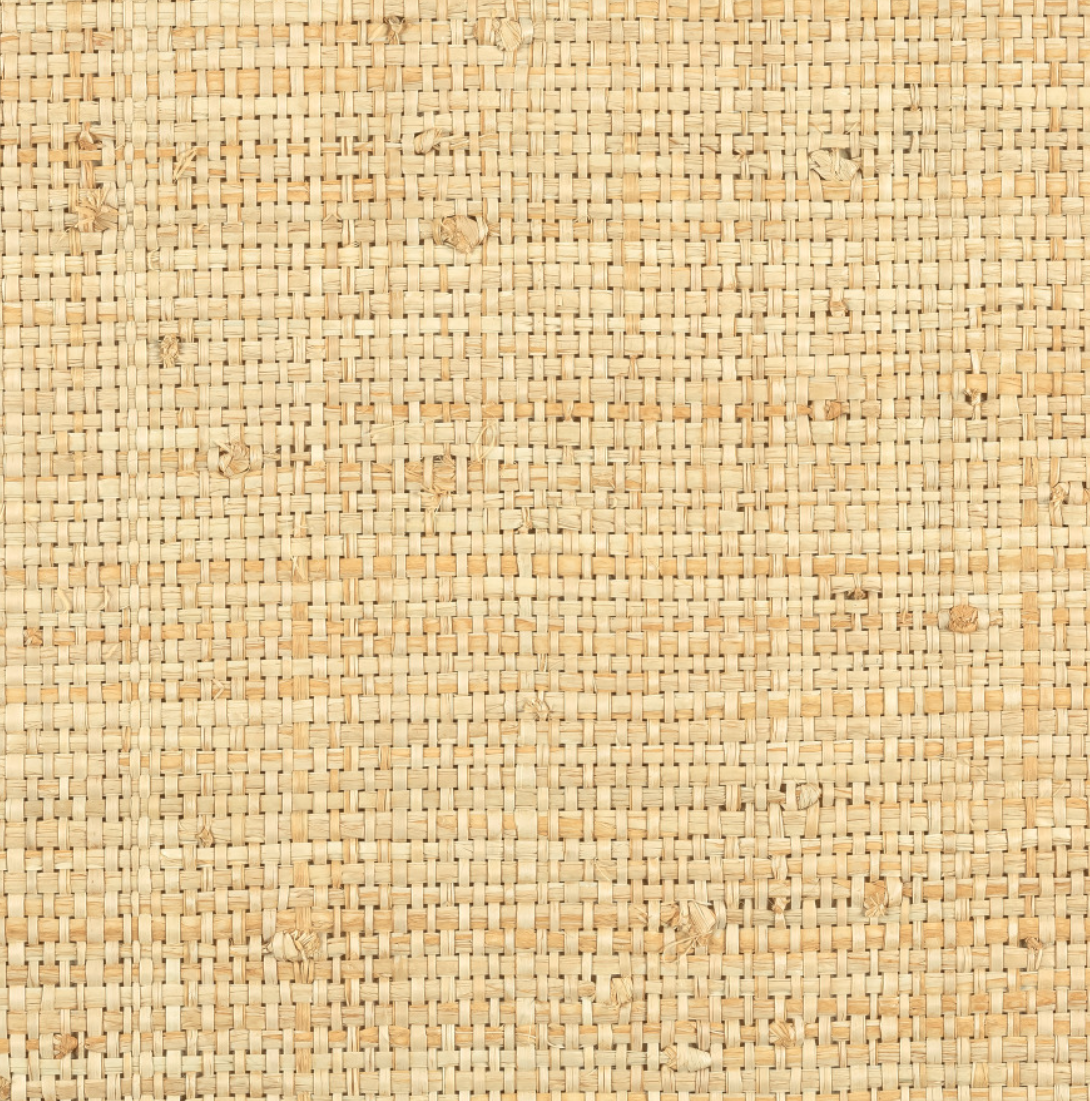 Cesreria 1017 03 2.png