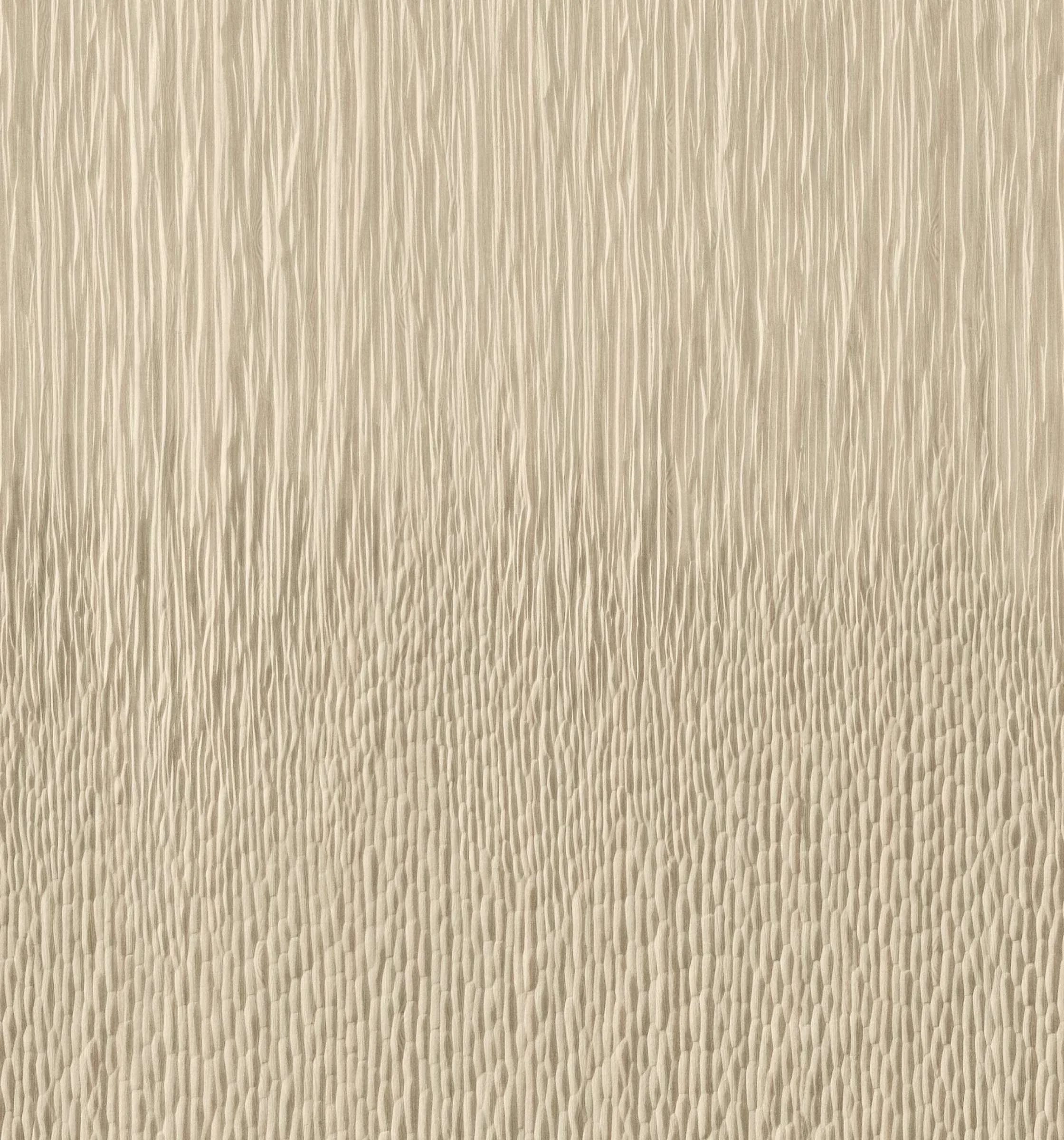SILVA 940 01 1.jpg