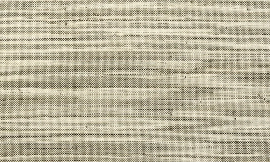 LesForets_Infini_480-C40X.jpg