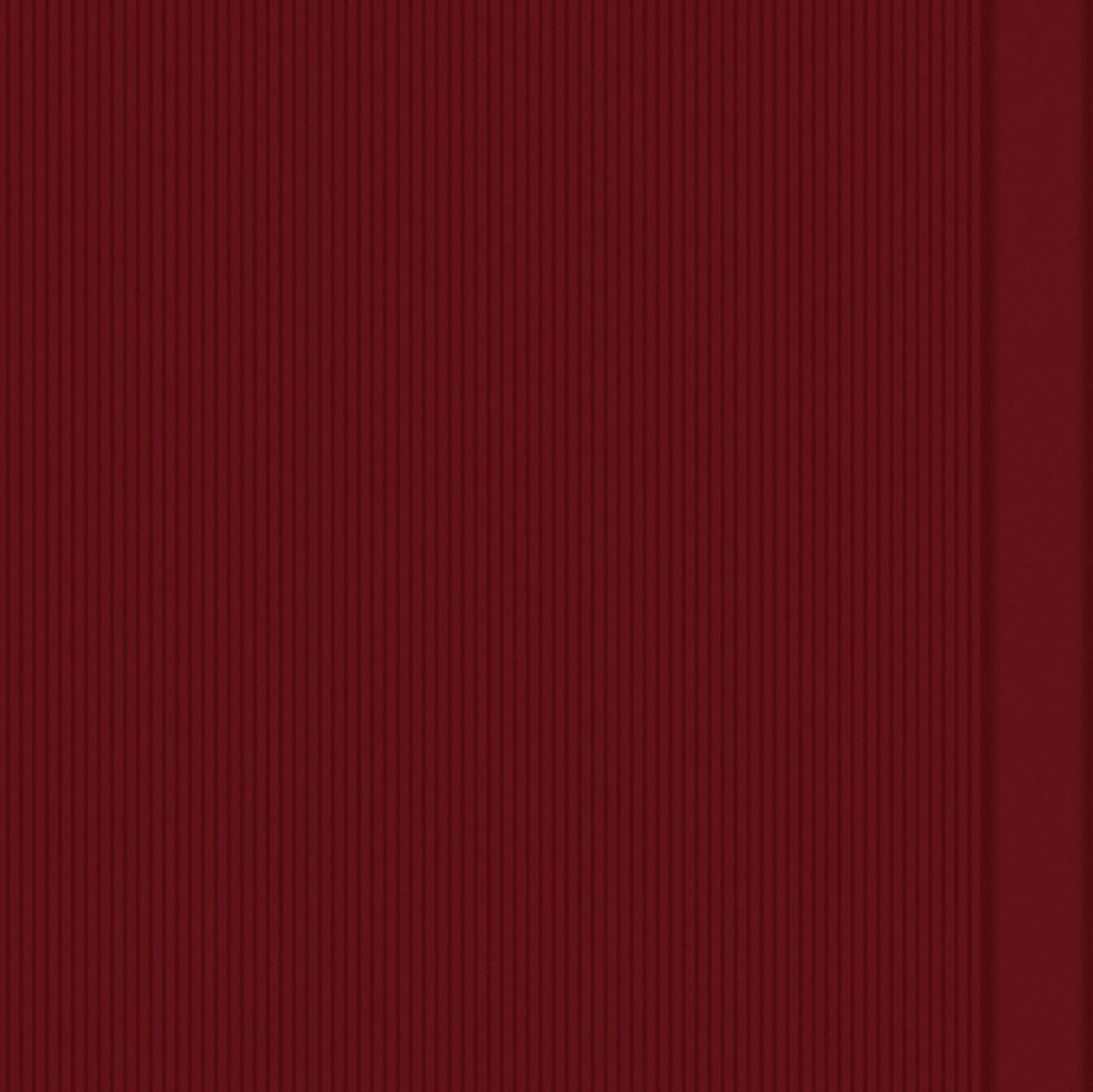 mural-wall-rayures-jumelles-wall-colonne-rm-1044-70-5b480d6bdbb0e723fda537f5b906.jpg