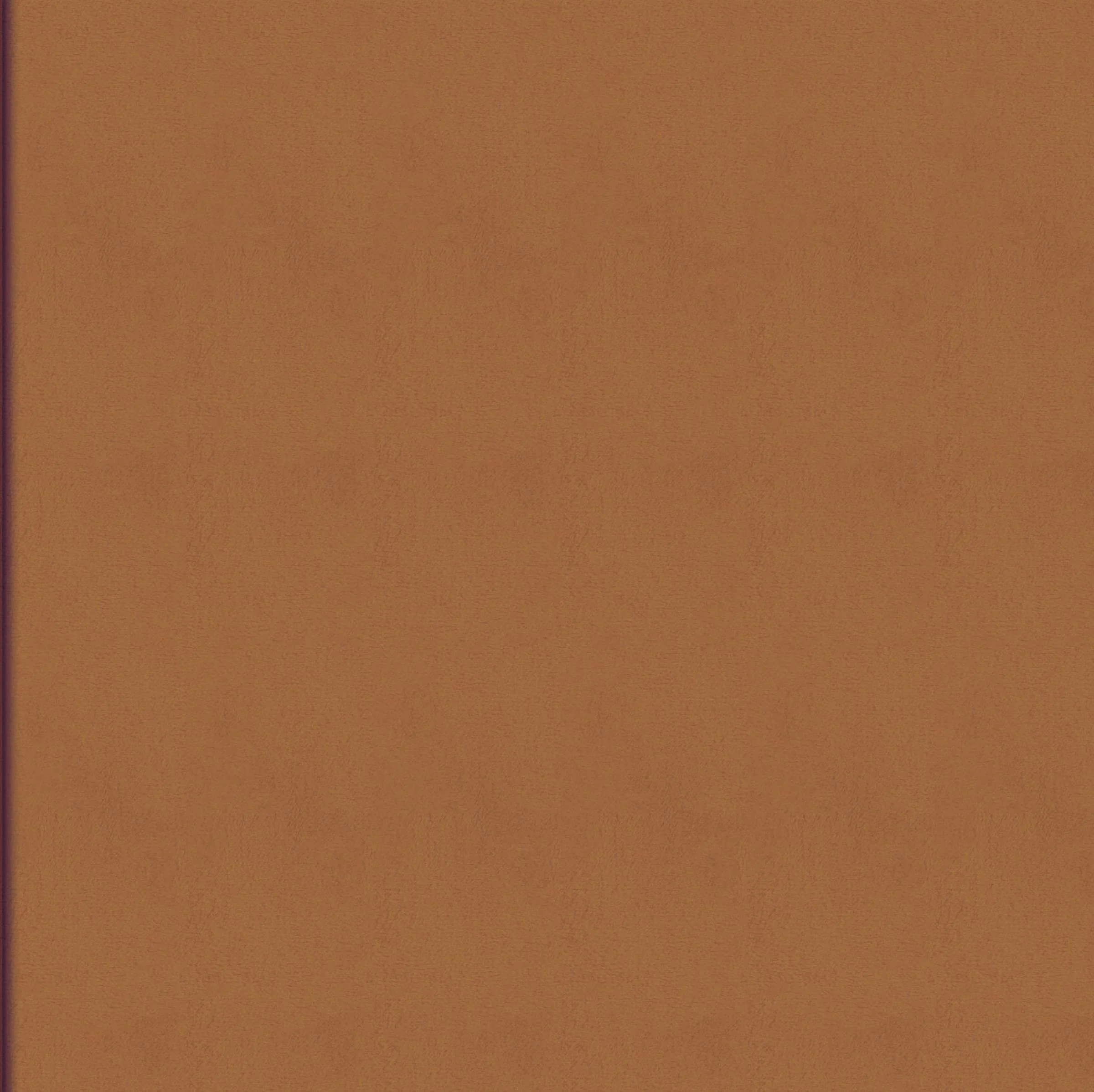 mural-wall-rayures-jumelles-wall-parthenon-rm-1045-05-344efcc8d7e45b7569f821118e55.jpg