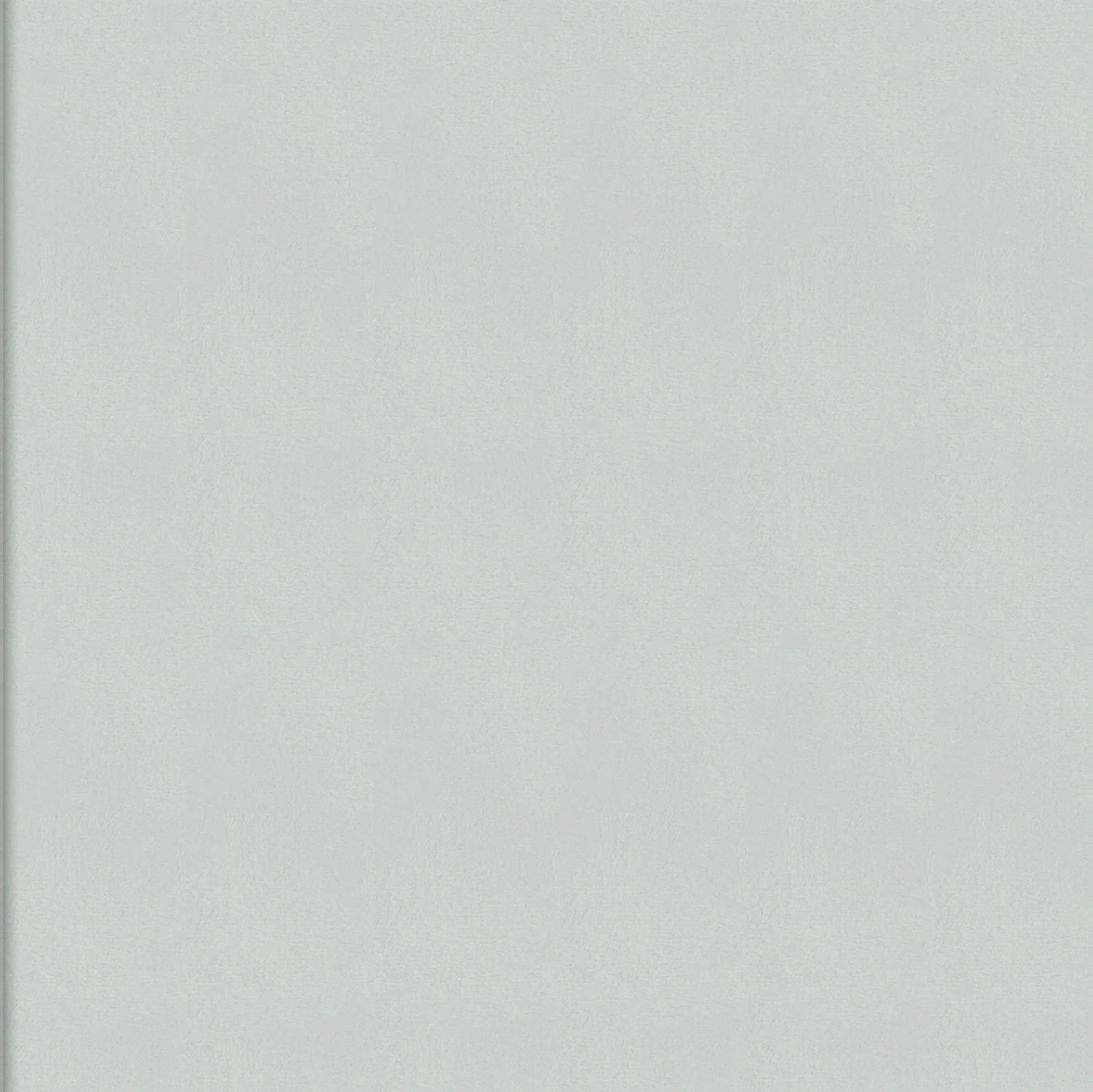 mural-wall-rayures-jumelles-wall-parthenon-rm-1045-40-5cbd742490df89b542ee015cde14.jpg