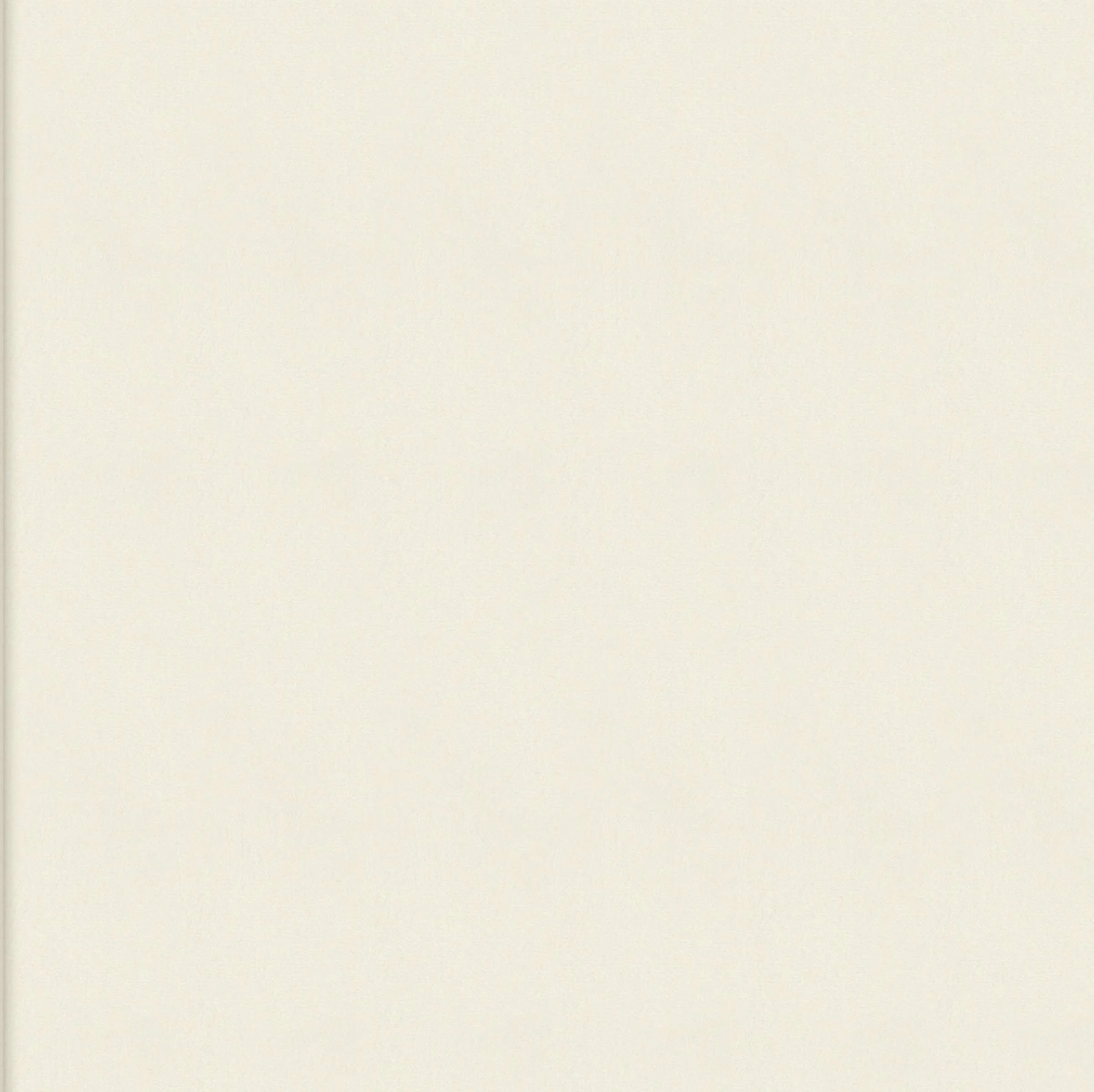 mural-wall-rayures-jumelles-wall-parthenon-rm-1045-01-1367eb35ff6128204b2cdf0bf2.jpg