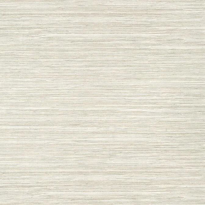 T14555.jpg