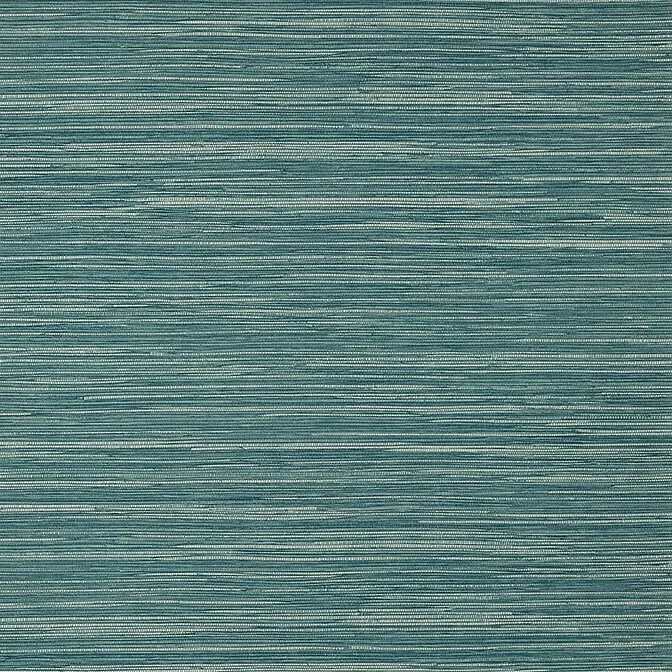 T14557.jpg