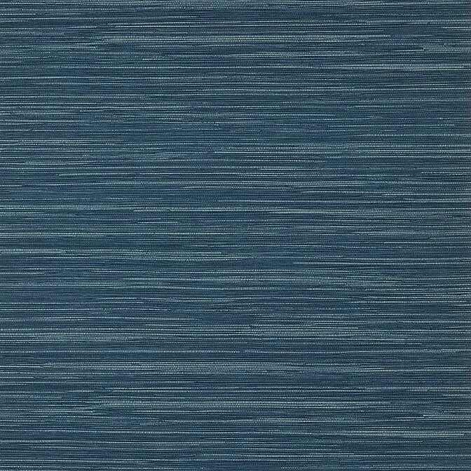 T14559.jpg